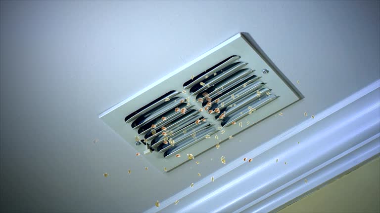 Best Affordable Duct Cleaning Services  in Fairmount Heights, MD